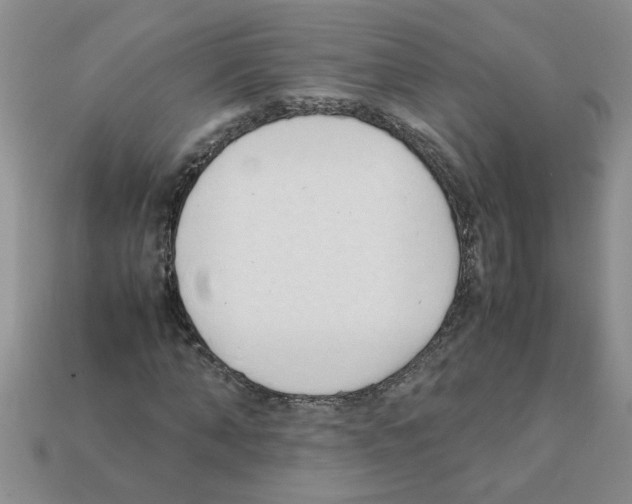 X0000111950870200909071318