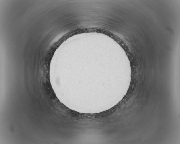 X0000111950871200909071318