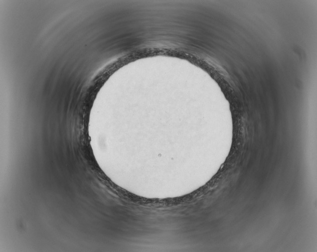 X0000111950872200909071318