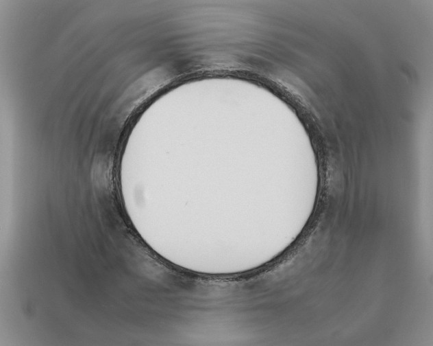 X0000111950873200909071318
