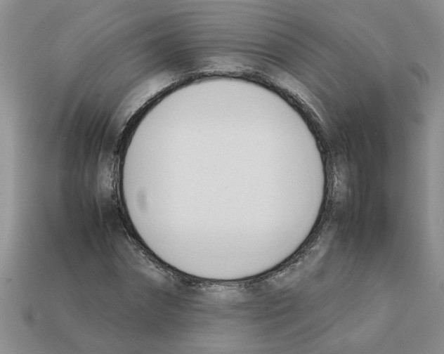 X0000111950874200909071318