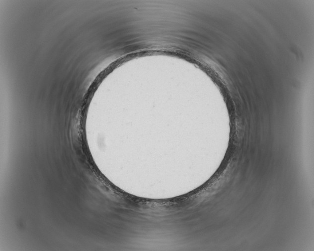 X0000111950875200909071318