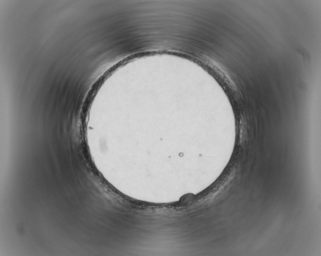 X0000111950876200909071318