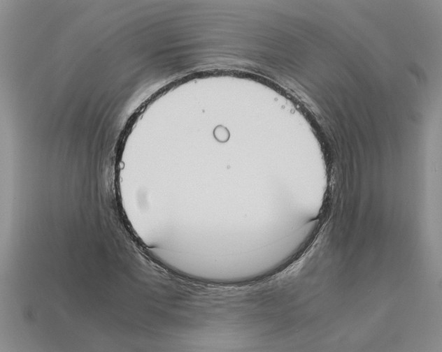 X0000111950877200909071318