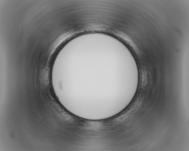 X0000111950878200909071318
