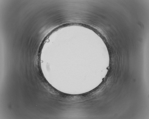X0000111950879200909071318