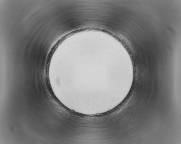 X0000111950880200909071318