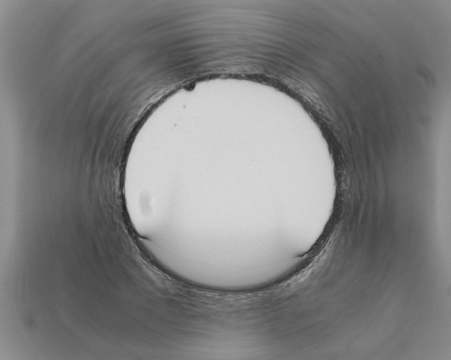 X0000111950881200909071318