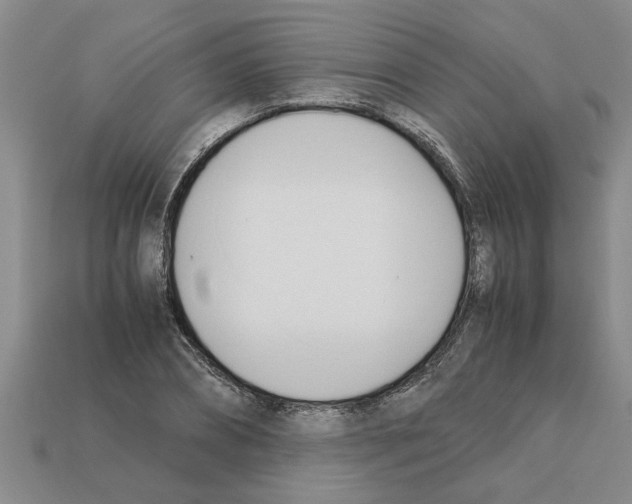 X0000111950882200909071318