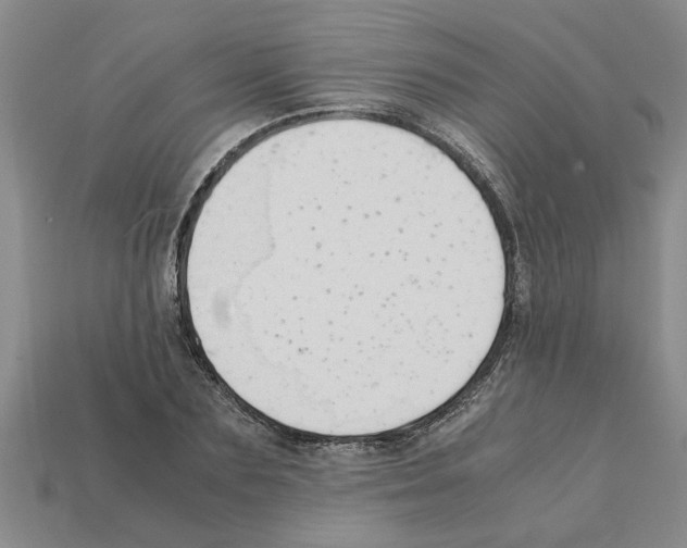 X0000111950883200909071318