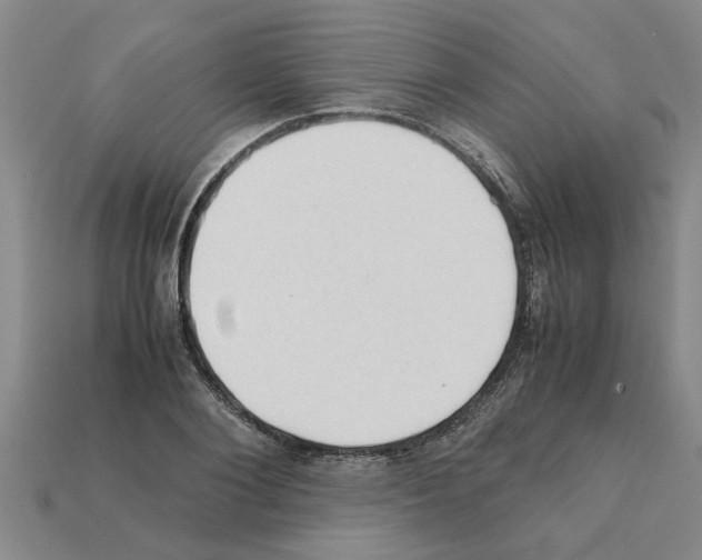 X0000111950884200909071317