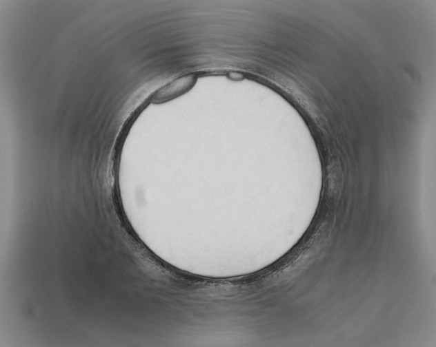X0000111950885200909071317