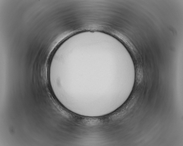 X0000111950886200909071317