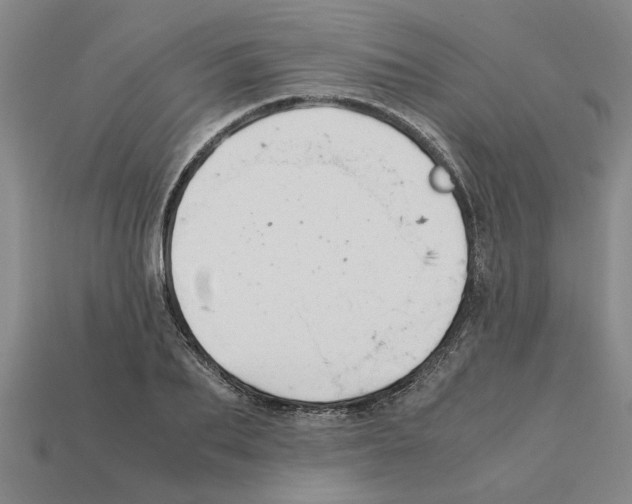 X0000111950887200909071317