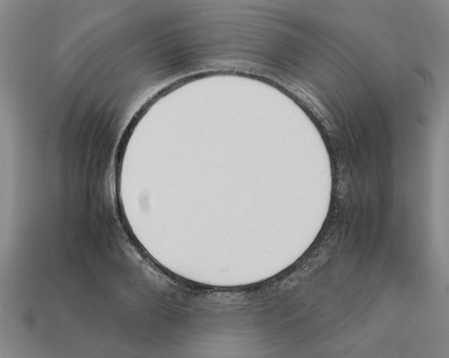 X0000111950888200909071317