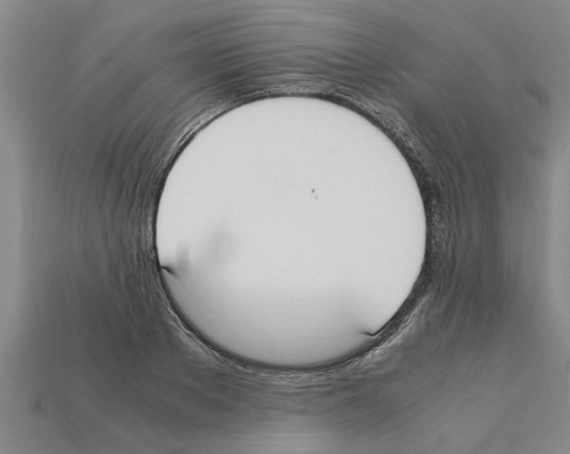 X0000111950889200909071317