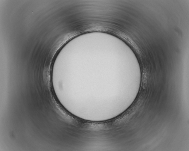 X0000111950890200909071317