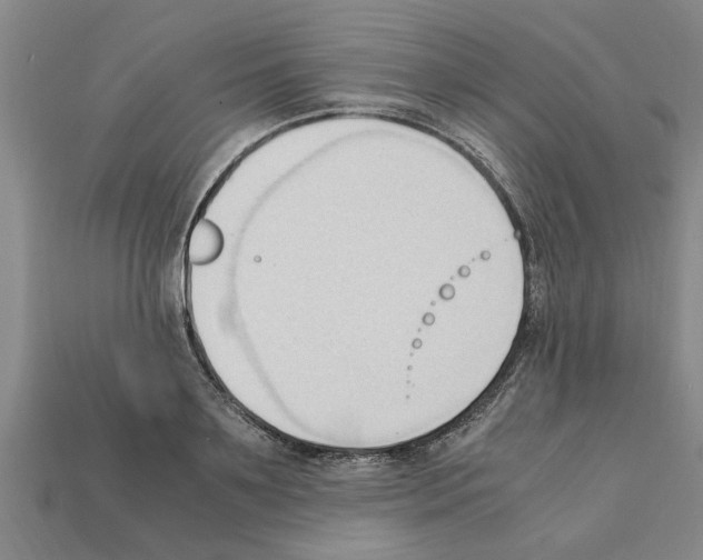 X0000111950891200909071317