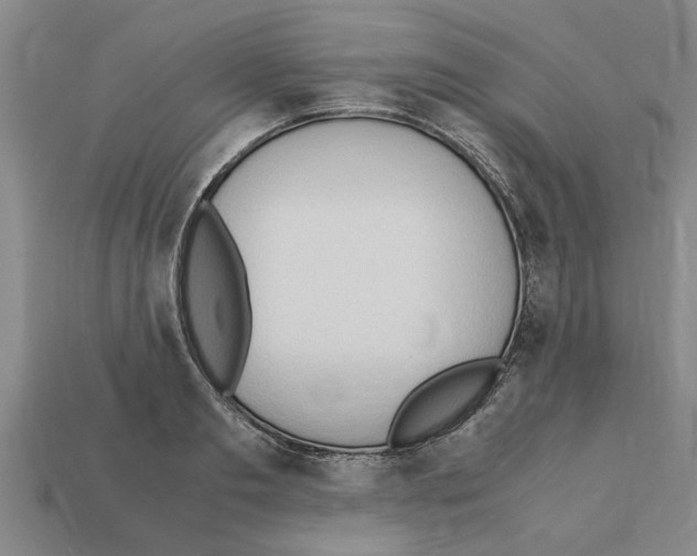 X0000111950893200909071317