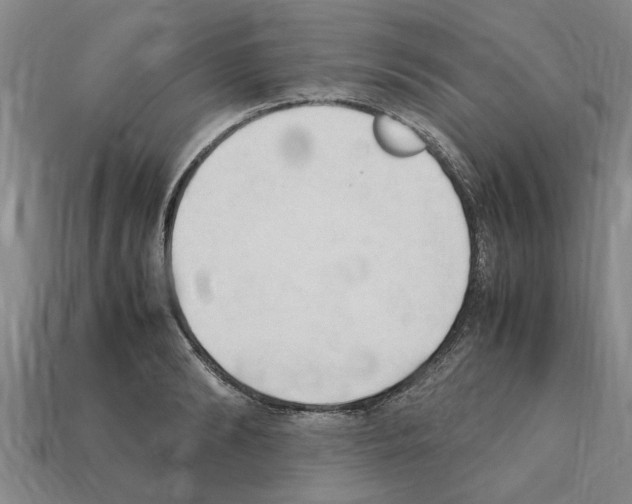 X0000111950894200909071317