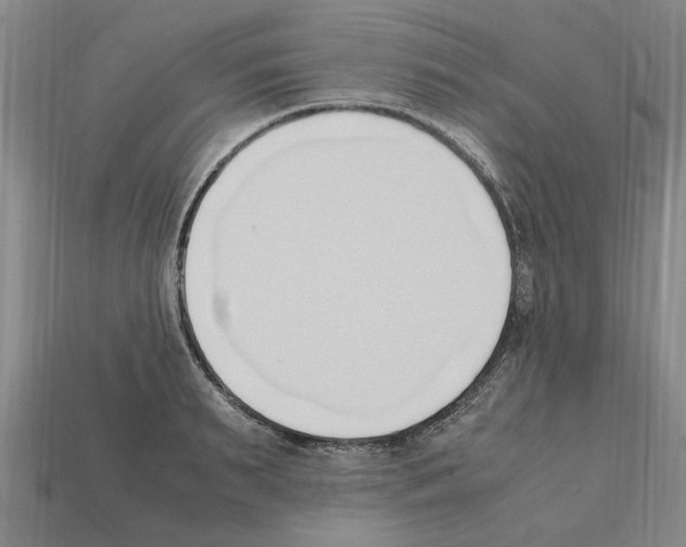 X0000111950895200909071317