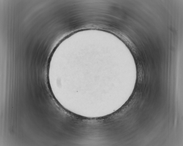 X0000111950896200909071317