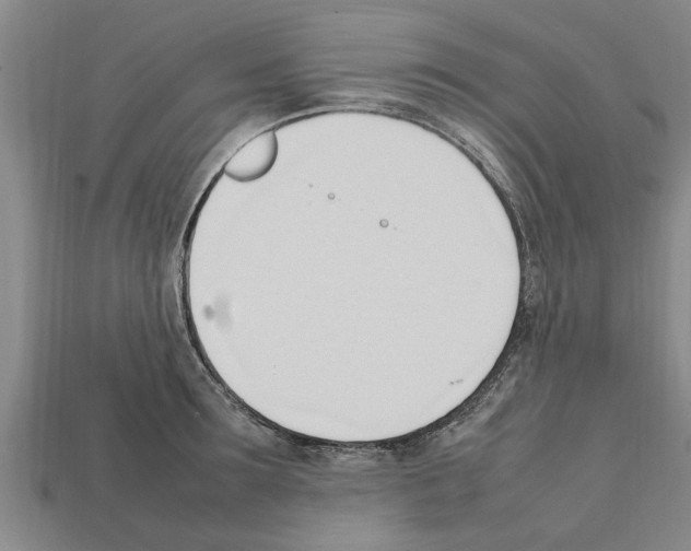 X0000111950899200909071317