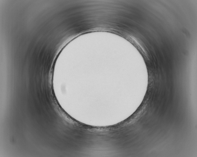 X0000111950900200909071317