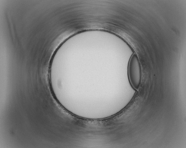 X0000111950901200909071317
