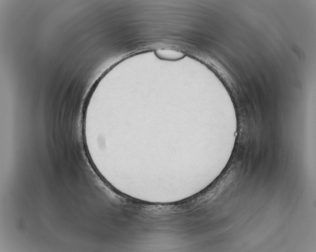 X0000111950902200909071317