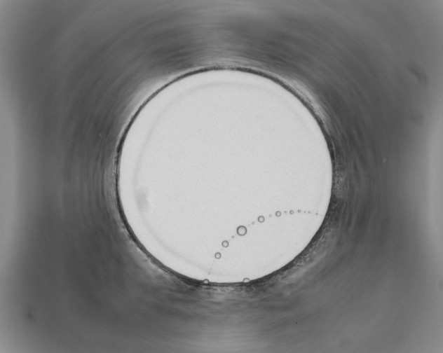 X0000111950903200909071317