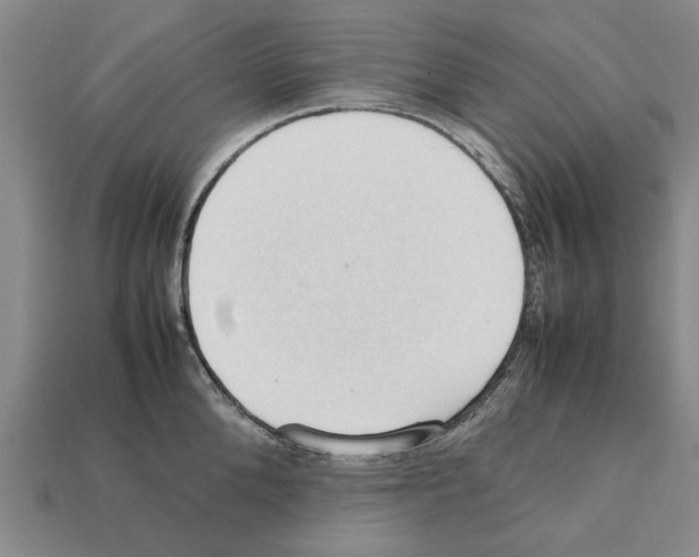 X0000111950904200909071317