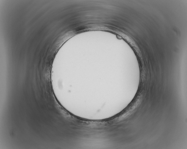 X0000111950905200909071317