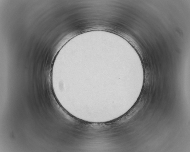 X0000111950906200909071317