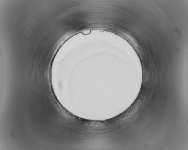 X0000111950907200909071317