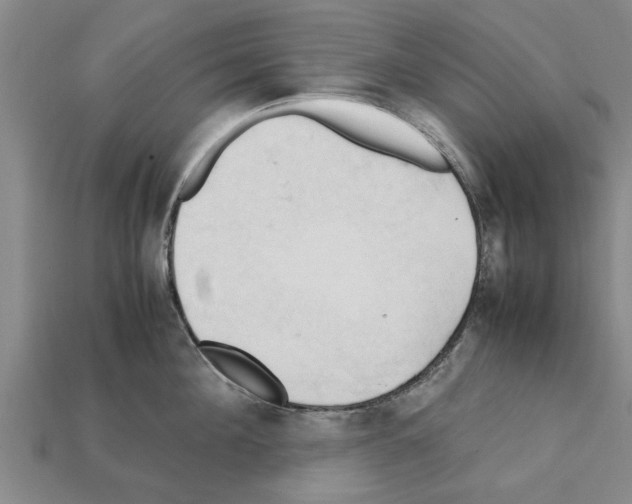X0000111950908200909071317