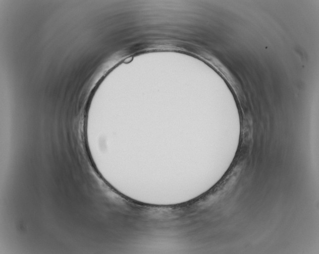 X0000111950909200909071317