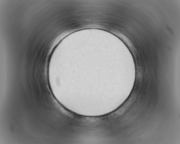 X0000111950910200909071317