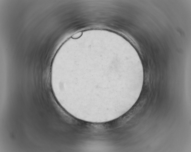 X0000111950911200909071317