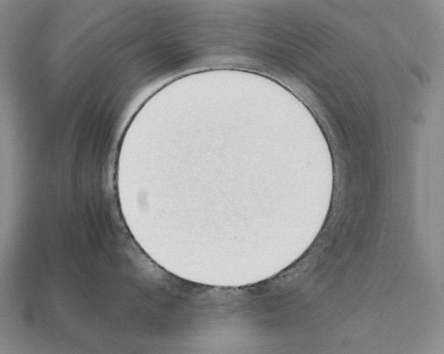 X0000111950912200909071317