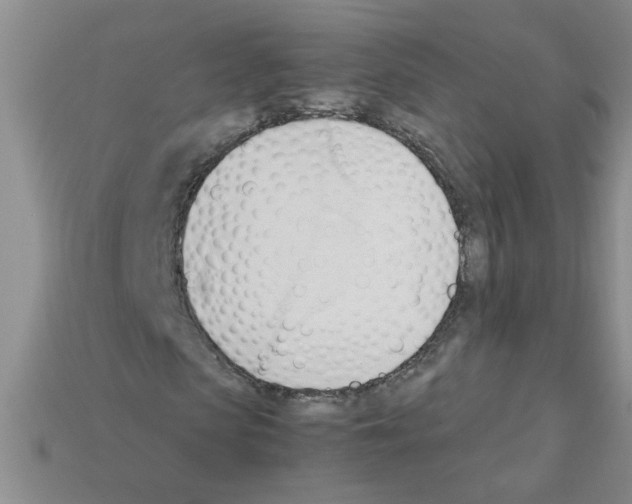 X0000111950913200909071317