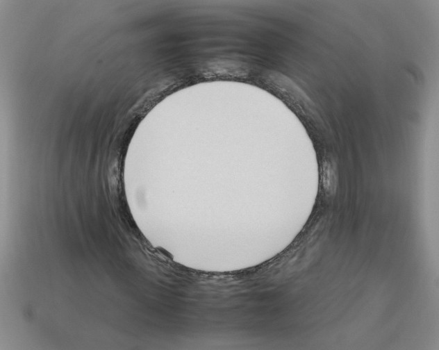X0000111950915200909071317