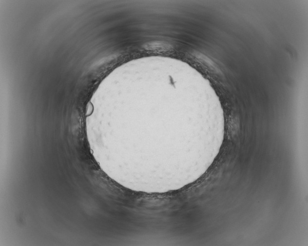 X0000111950917200909071317