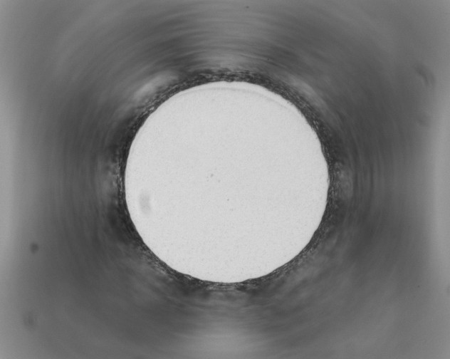 X0000111950918200909071317