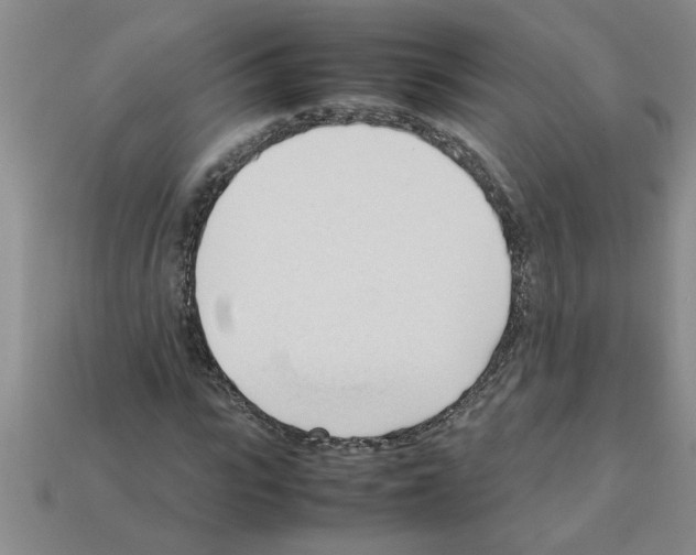 X0000111950919200909071317