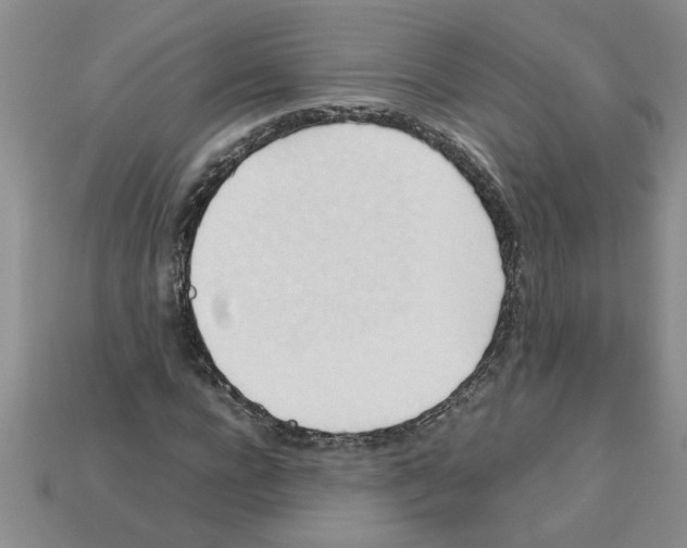 X0000111950920200909071317