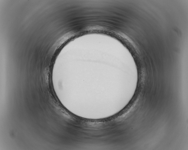 X0000111950921200909071317