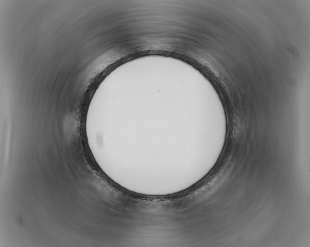 X0000111950922200909071317