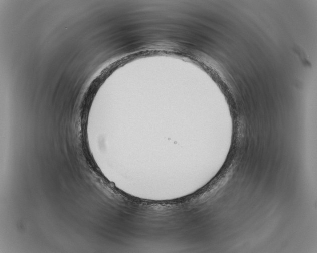 X0000111950923200909071317