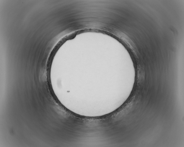 X0000111950924200909071317